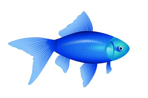 Free Fish PNG Images With Transparent Background.